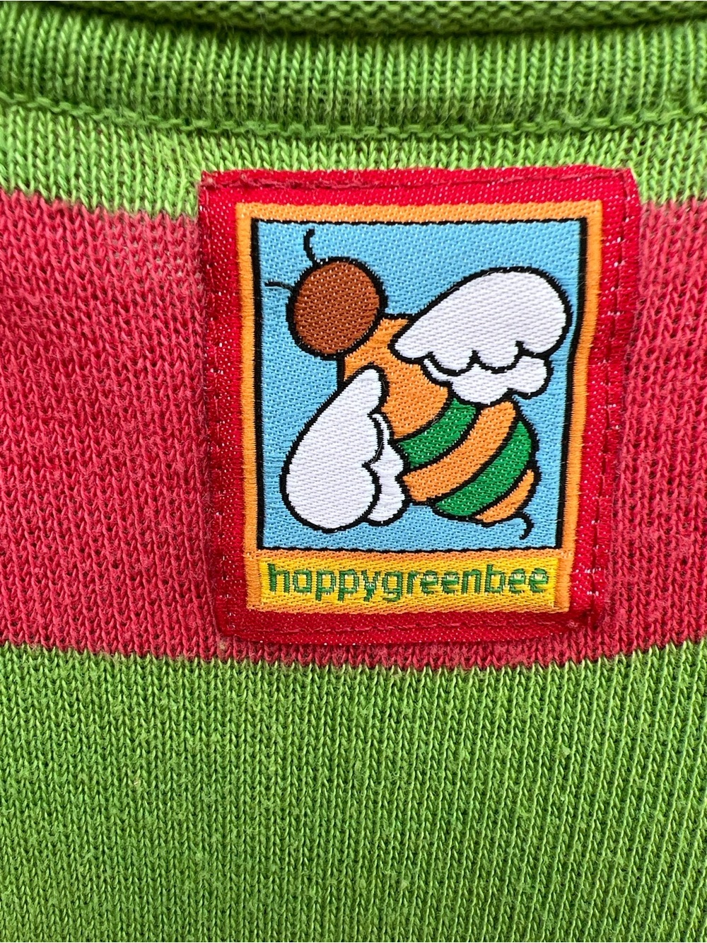 Green & Rose Red Striped Casual pixie Twirl casual Dress holiday